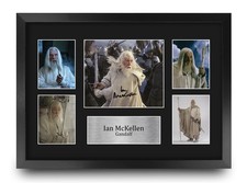 Sir ian mckellen - sir,