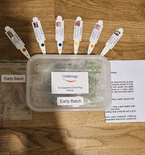 6x Superhot Chilli Plug Plants