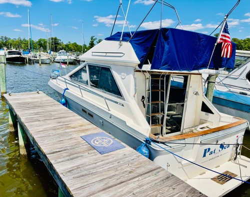 1988 sea ray 305 - ray,