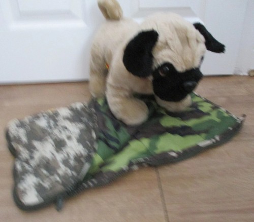 Build bear workshop pug - build,