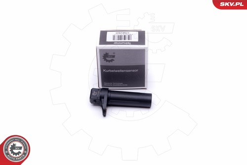 For skv germany - skv, 17skv523