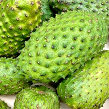 Fresh Soursop fruit Uk seller free delivery