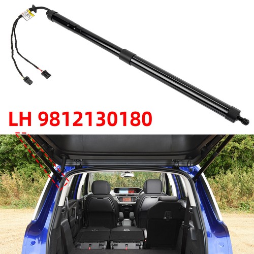 Electronic tailgate strut - tailgate,