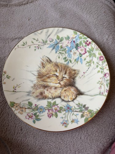 Royal worcester kitten - royal,