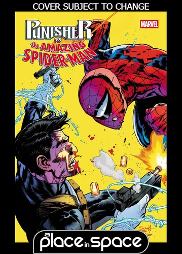 Punisher spider man 2a - vs., #2a