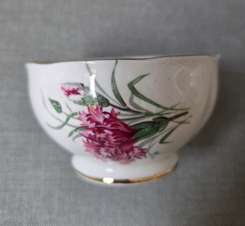 Vintage queen anne bone china - bone,