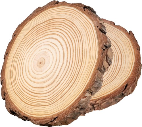 Wooden slices cm wood - slices, 25