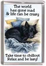 Groenendael belgian shepherd - groenendael,