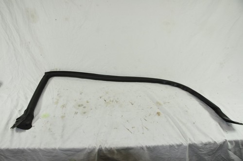Outer door seal drivers side - outer,