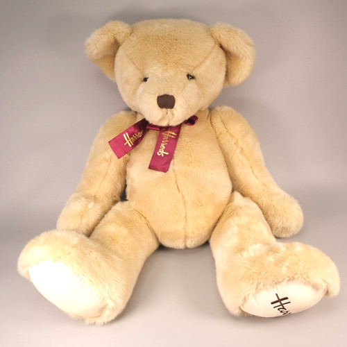 Harrods large teddy - large, plush