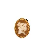 Princess Cameo Mystery