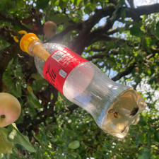 3 Pack Fly Wasp Catcher Insect