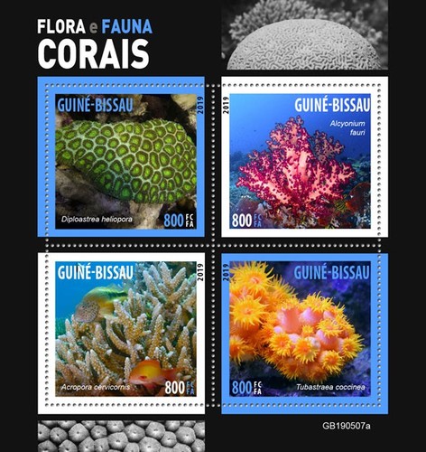 Corals