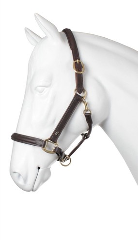 Horse halter headcollar - horse,
