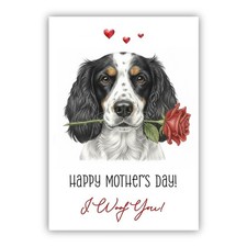 Multiple Breeds Mother’s Day