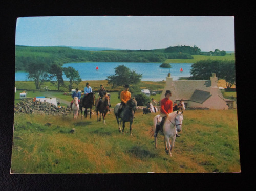 Pony trekking three lochs - pony,