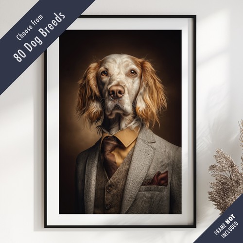 Smartly dressed dog - dressed,