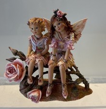 The Leonardo Collection Rose