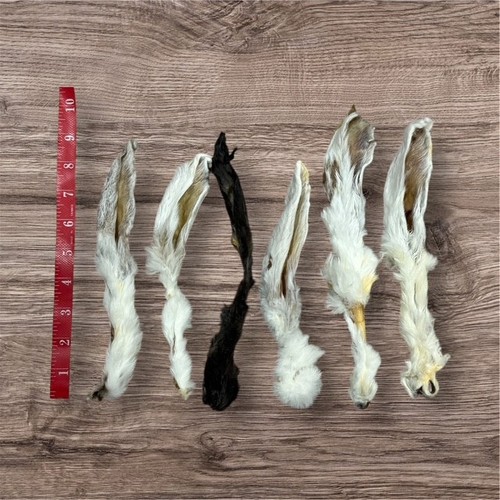 Furry rabbit ears - rabbit, &