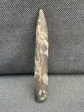 Unprepared & Unpolished Fossil Belemnite, Jurassic Squid, England, UK, 160 MYO