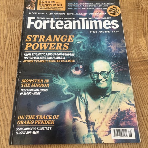 Fortean times ft432 - read, once