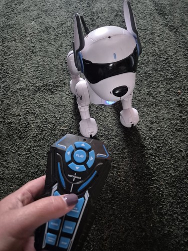 Ziggy the robo dog - the,