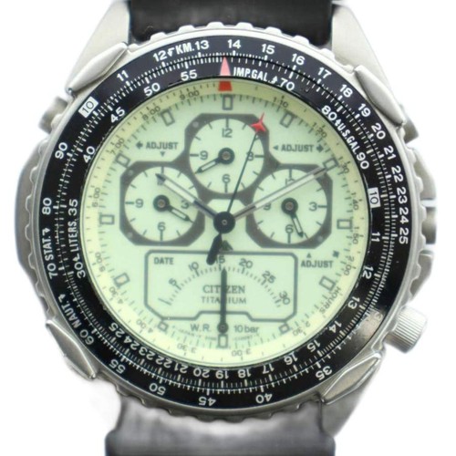 Junk citizen promaster wingman - junk,