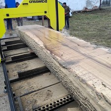 Good Investment Big Sam