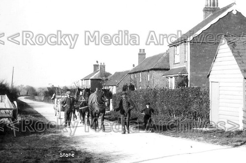 Uus horse drawn cart - horse,