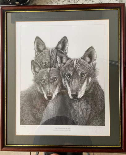 Gary hodges iberian wolves - gary,
