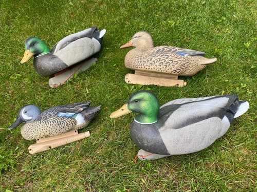 Set avian cabelas - of, real