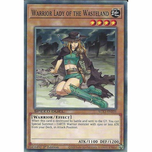 Warrior lady the wasteland - the,