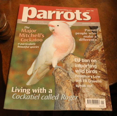 Parrots 108 january - parrots, ~