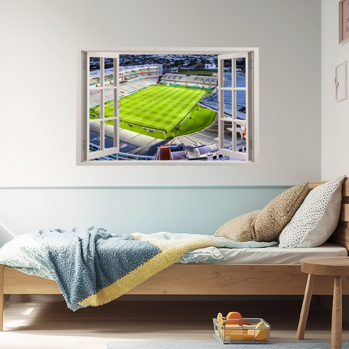 Fake window eden park rugby - 3d,