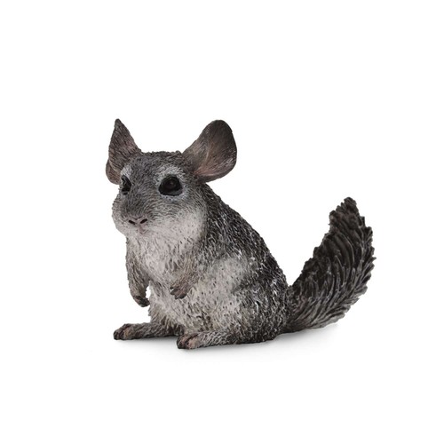 Collecta long tailed - collecta, long-tailed
