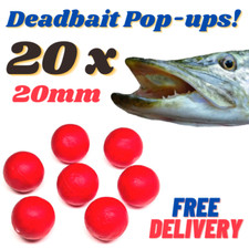 20 x 20mm Popper Beads for