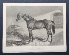 Antique 1845 Print -