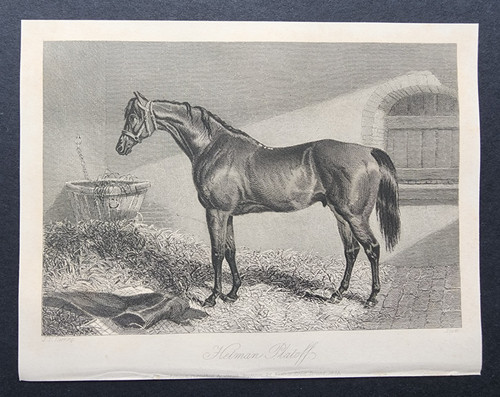Antique 1845 print - 1845,