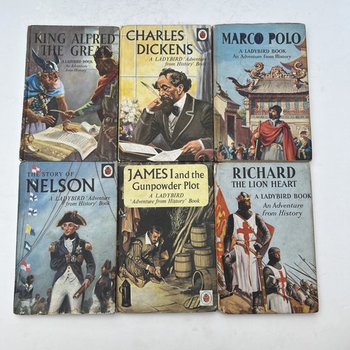 Job lot rare - lot, ladybird