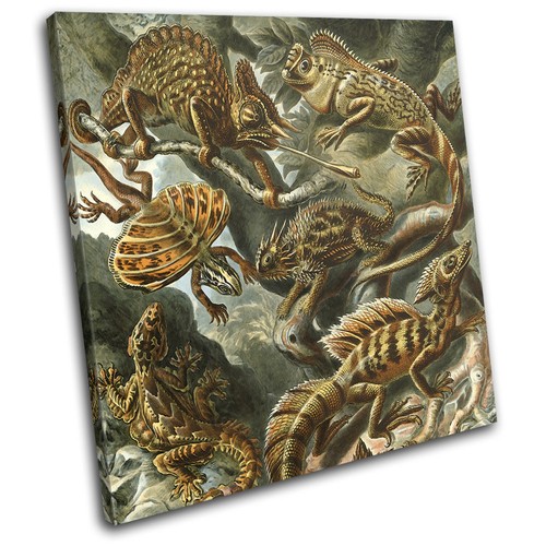 Floral lizard reptile vintage - lizard,