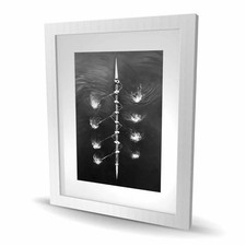Begin Home Decor