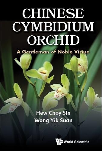 Chinese cymbidium orchid a - orchid:,