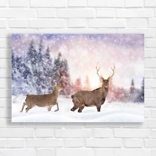 Winter stag majestic animals - winter,