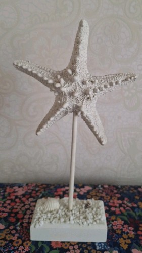 Starfish decor vgc - starfish,