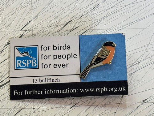 Rspb bullfinch fbfpf - bullfinch,