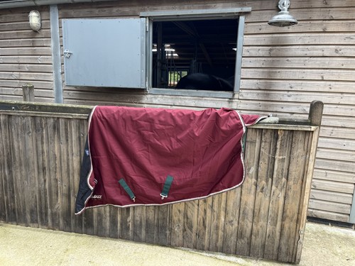 Shires tempest 200g - tempest,