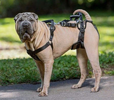 Solvit Care Lift FULL BODY Medium Dog Harness 35-70Lbs Pet mobility USED ONCE