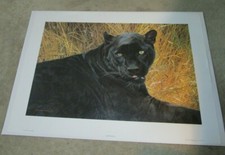 New Limited Edition Print Carl