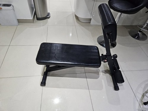 Adjust chair sit ups - sit, abdominal