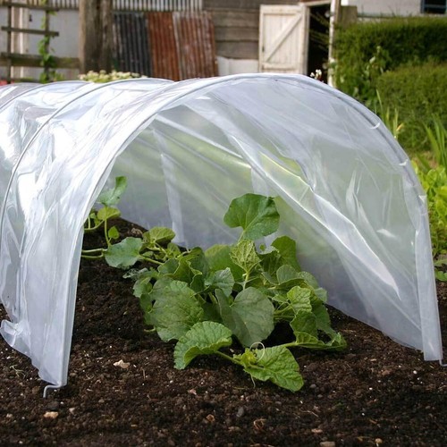 Poly tunnel cloche - tunnel, mini